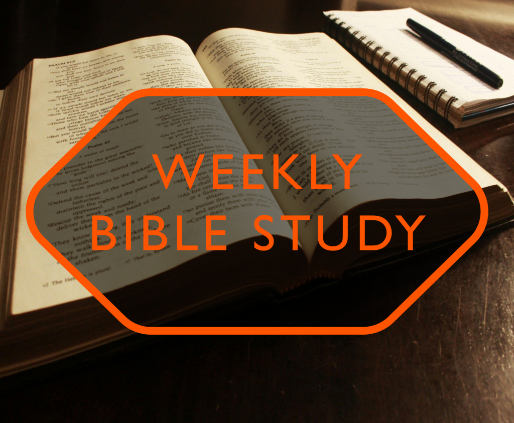 Weekly Bible Study